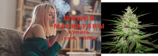 ГАЛЛЮЦИНОГЕННЫЕ ГРИБЫ Белокуриха