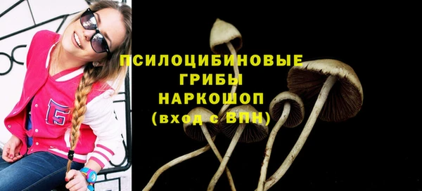 ГАЛЛЮЦИНОГЕННЫЕ ГРИБЫ Белокуриха