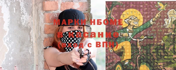 ГАЛЛЮЦИНОГЕННЫЕ ГРИБЫ Белокуриха