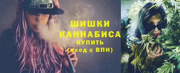 ГАЛЛЮЦИНОГЕННЫЕ ГРИБЫ Белокуриха