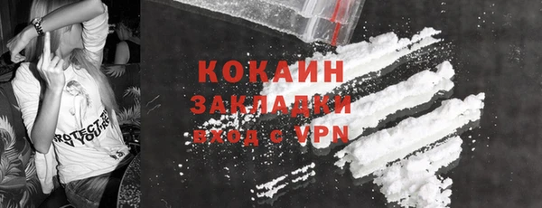 ГАЛЛЮЦИНОГЕННЫЕ ГРИБЫ Белокуриха