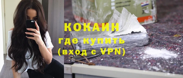 ГАЛЛЮЦИНОГЕННЫЕ ГРИБЫ Белокуриха