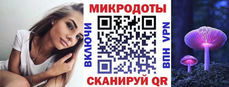 Псилоцибиновые грибы Psilocybine cubensis  Высоковск 